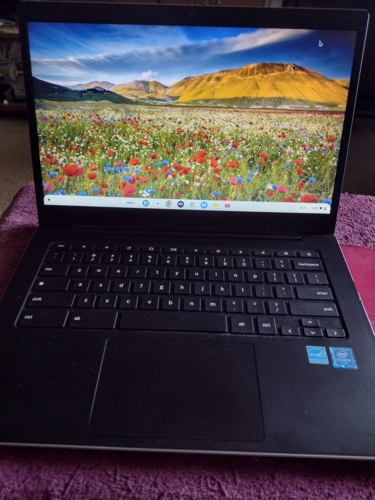 Samsung Galaxy Chromebook Go 14 in 32GB Intel Celeron N4500 XE345XDA NEW BATTERY