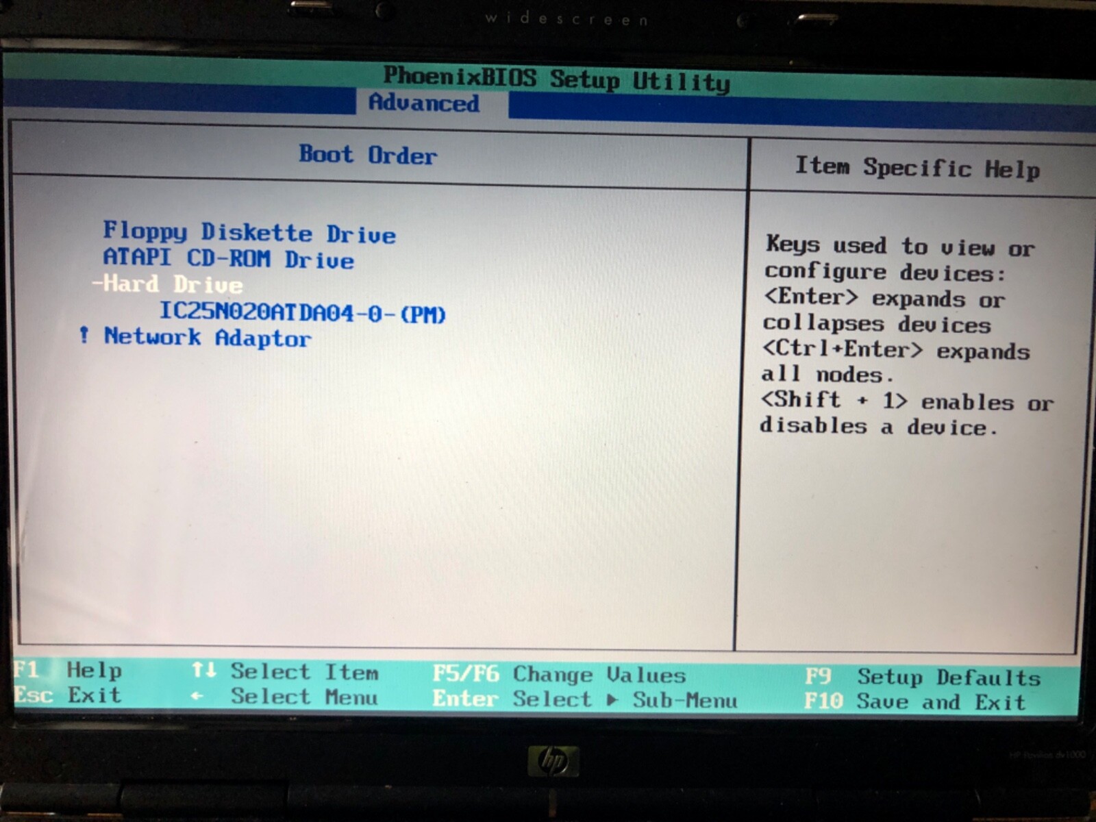 HP Pavilion Special Edition / Entertainment Notebook PC DV1000, 1.7GHz