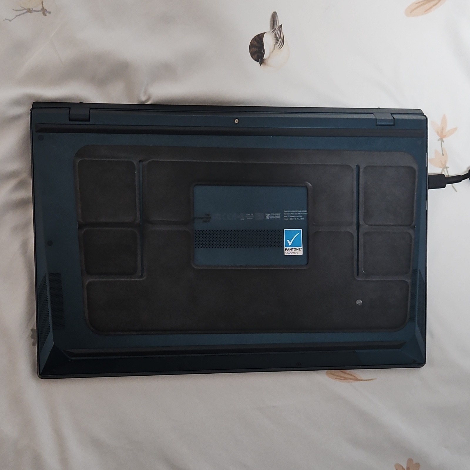 ASUS ZenBook UX482EGR Notebook Intel Core i7 NVIDIA USB-C HDMI 2022 Blue