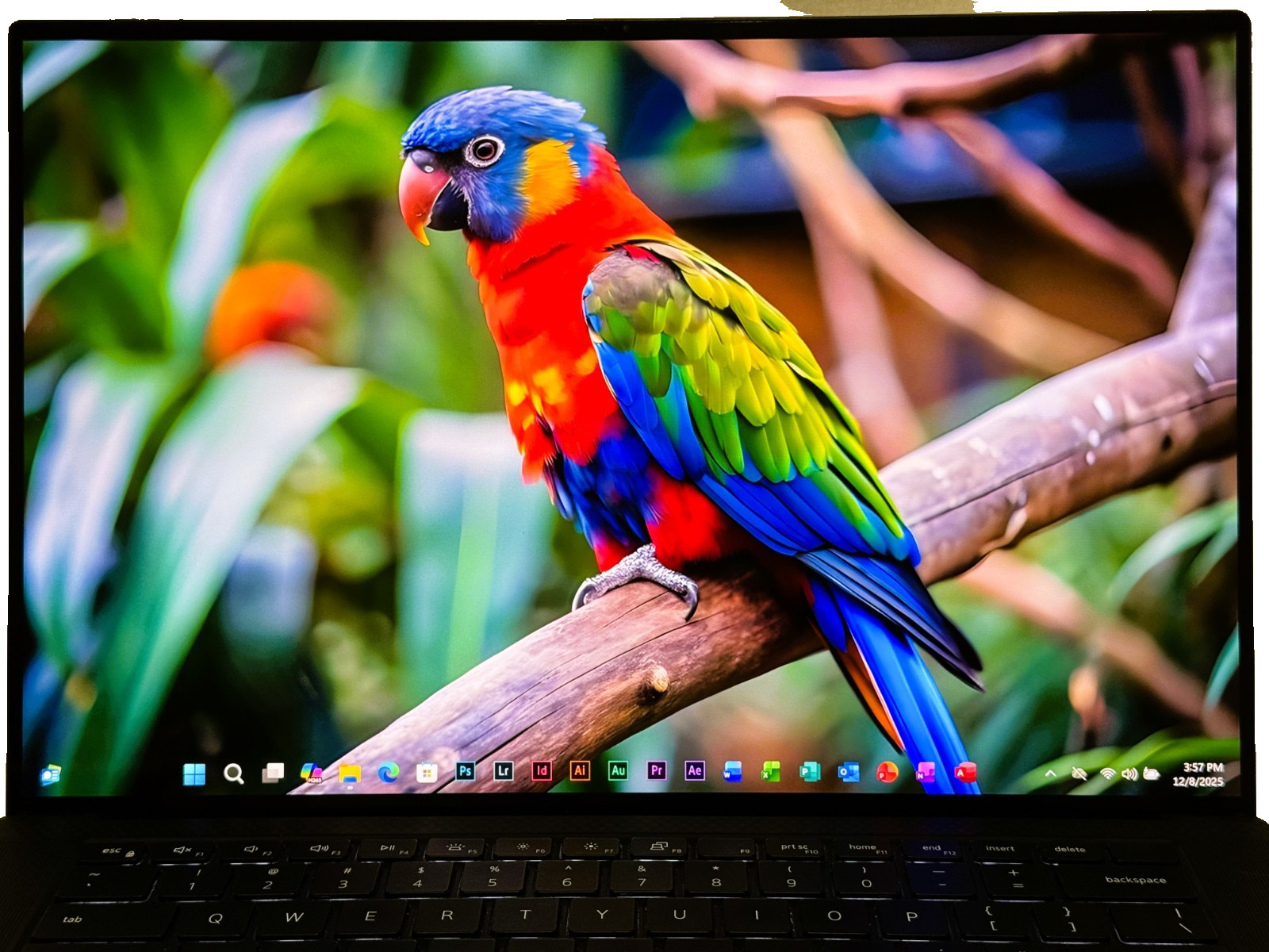 Dell XPS 15 9510 OLED TOUCH ✔i7-11800H ✔32GB RAM ✔2TB 980PRO ✔RTX 3050 Ti ✔VGood