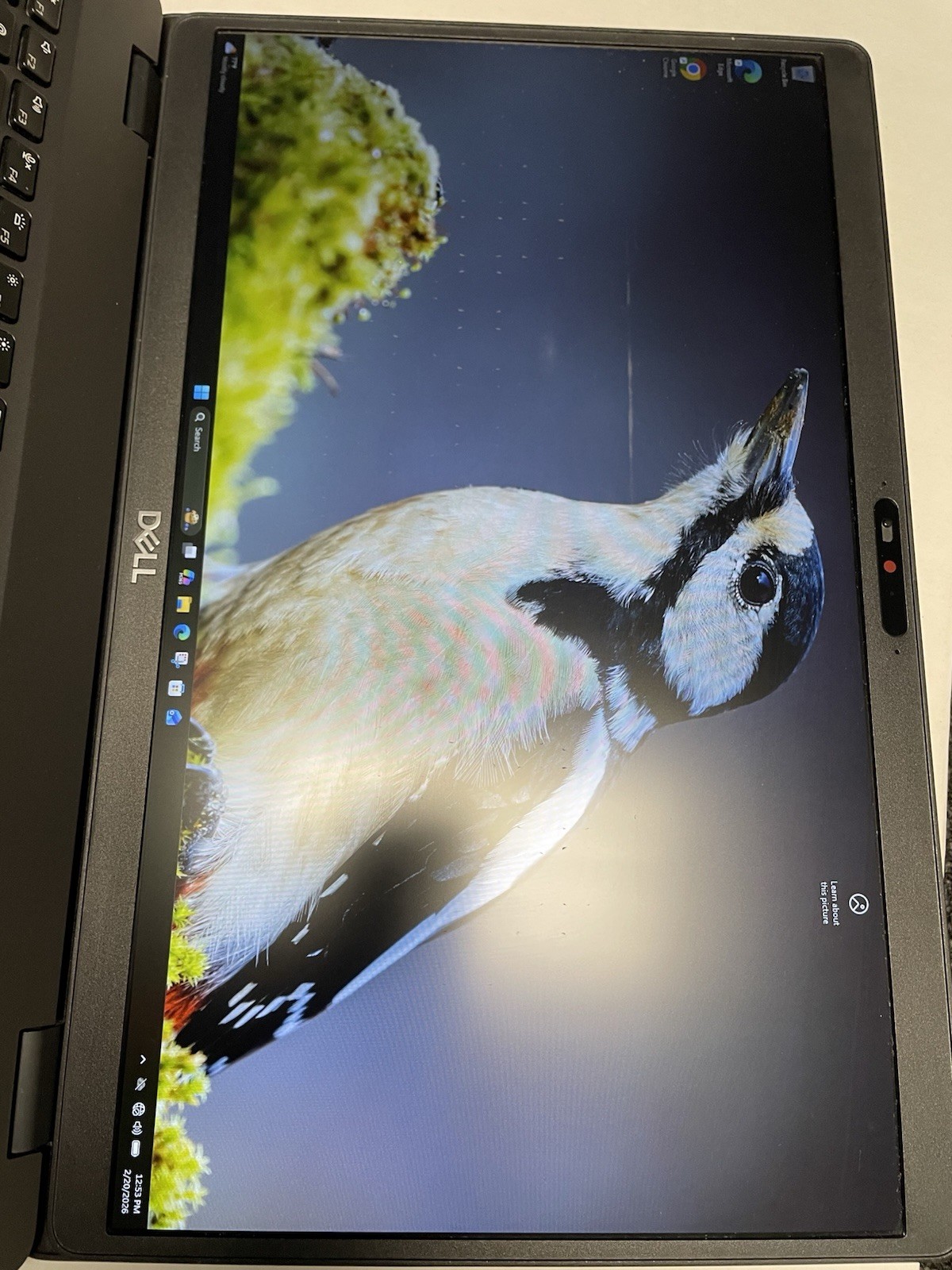Dell Precision 3541 Mobile Workstation Intel(R) Core(TM)i7-9850H CPU @2.6 GHz 36