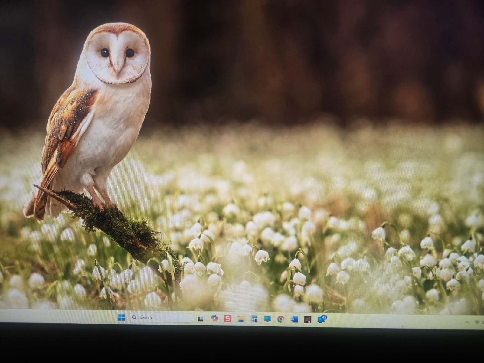 HP ENVY 17″ CH Series+Touch+I7-11th@4.7GHz+16GB RAM+1TB M.2 G4 SSD+OMEN+HDMI 2b
