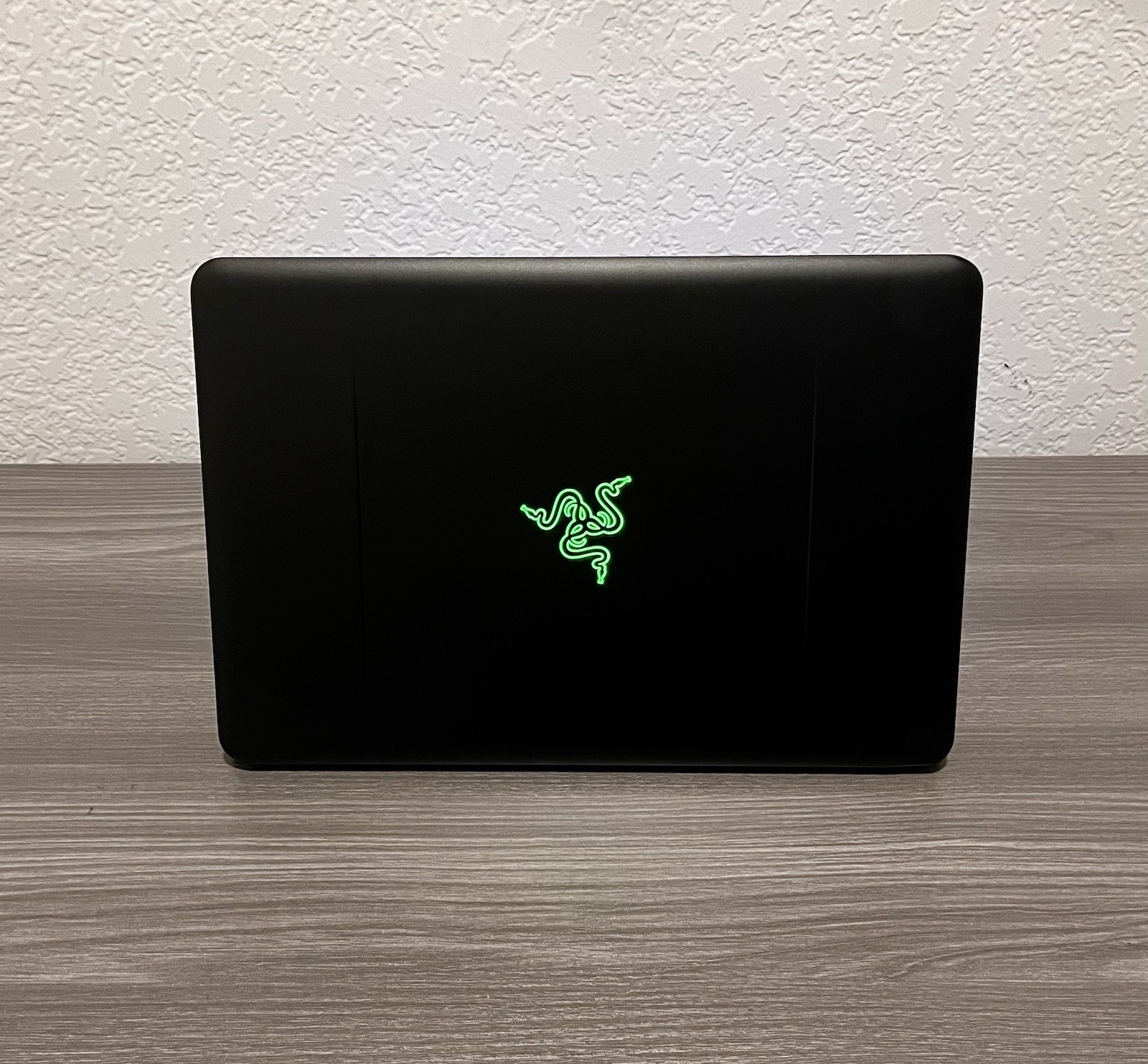 Razer Blade Stealth 14 i7-7700HQ 16GB RAM GEFORCE GTX 1060 6gb (READ)