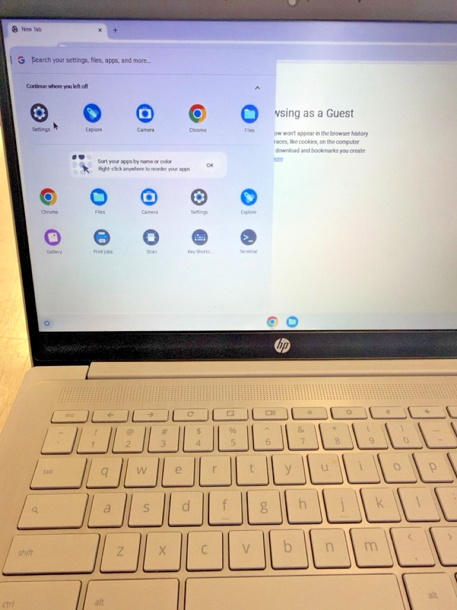 HEWLETT PACKARD CHROMEBOOK 14A-NE1013DX (CJL007123)