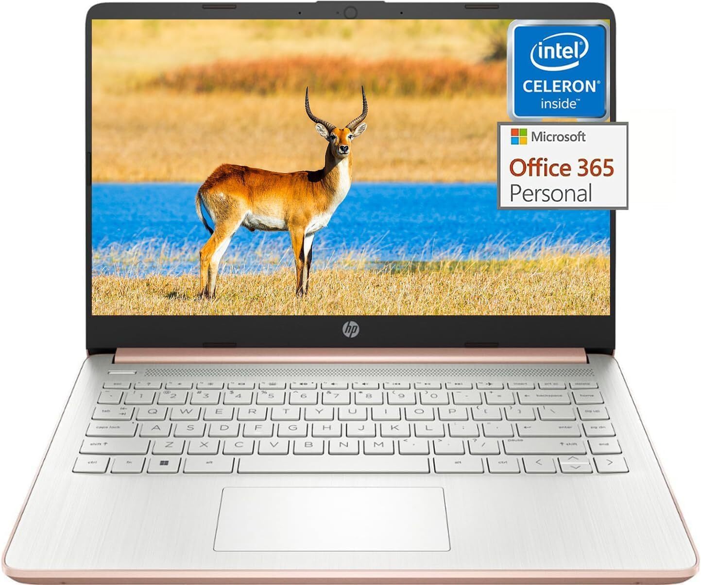 New HP Laptop 14″ HD Intel Celeron N4120 16GB RAM, 320GB Storage Windows 11 S