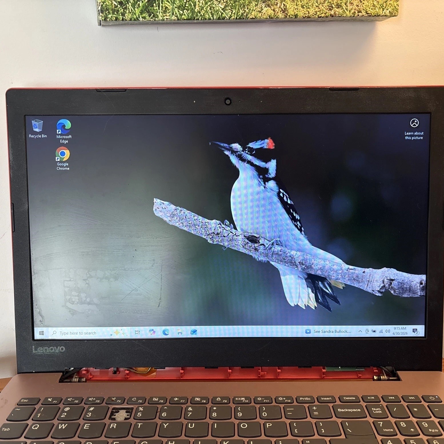red Lenovo laptop Idea pad 330-15ikb 8 GB RAM, read issues, microsoft arc mouse