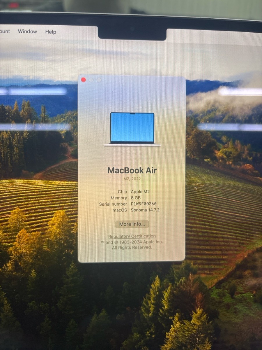 APPLE MACBOOK AIR A2681 (2022) M2 (PLT096815)