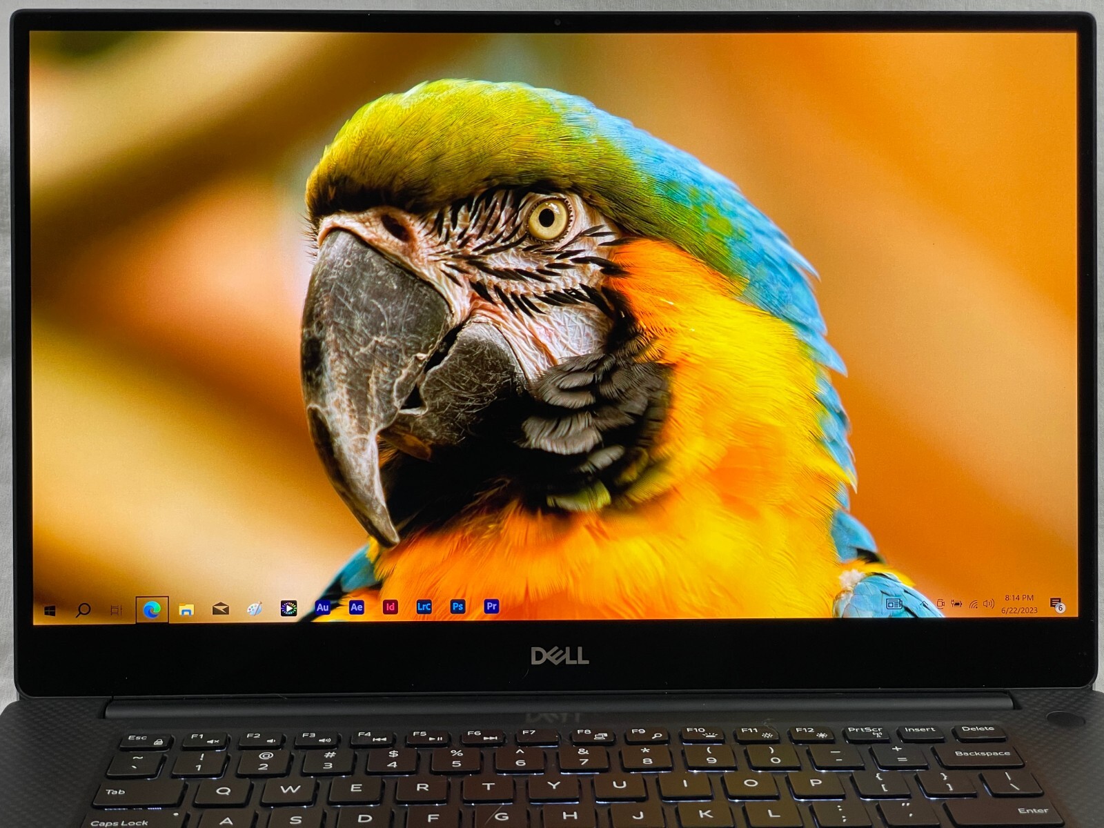 Dell XPS 15 7590 | i9-9980HK 2.4GHz | 4K UHD OLED | 64GB | 1TB
