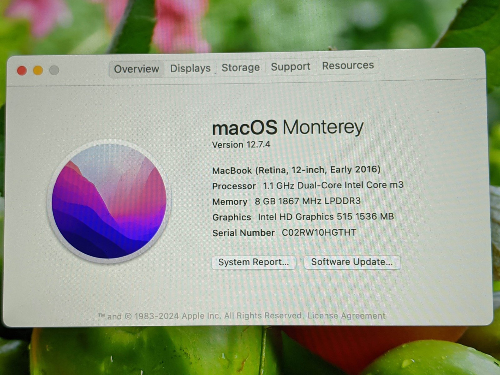 Apple MacBook 12″EARLY-2016 A1534 MLHA2LL/A M3-6Y30 1.1Gh 8GB 256GB SSD Monterey