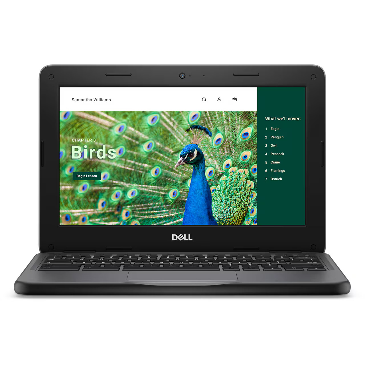 Dell Chromebook 11 in 3000 3120 N100 4GB RAM 64GB 2-in-1 Touch ChromeOS