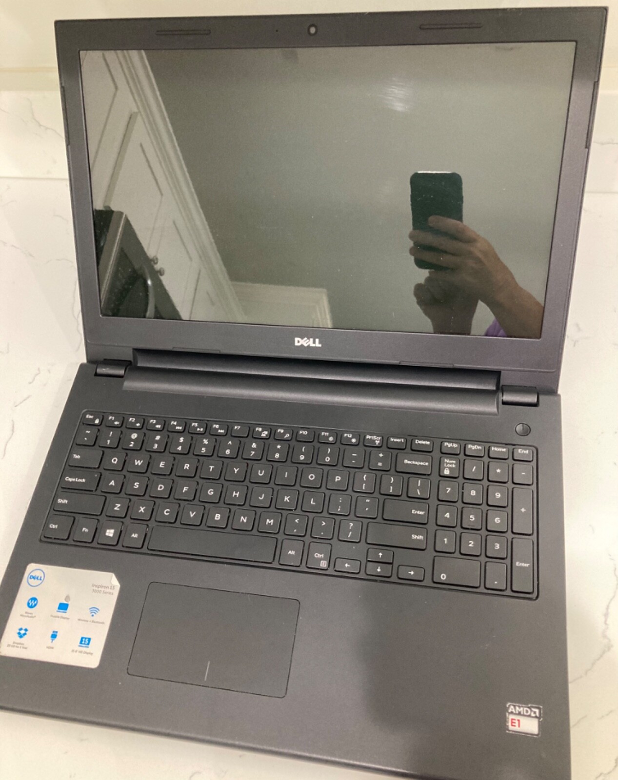 Dell 15 3000 Series Model AMD E16010