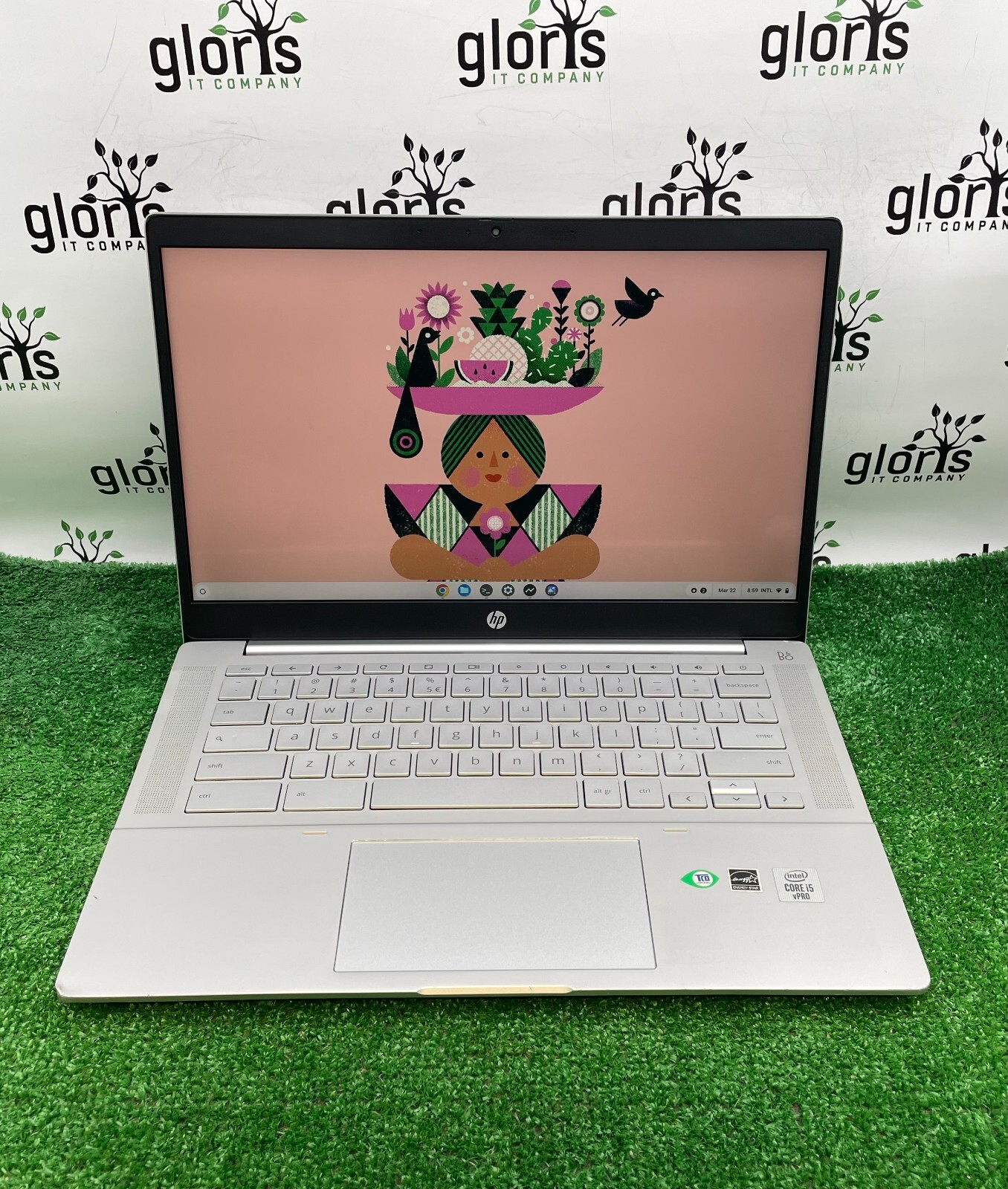 HP Pro c640 Chromebook Laptop Intel i5-10310U 1.70GHz / 8GB RAM / 64GB SSD