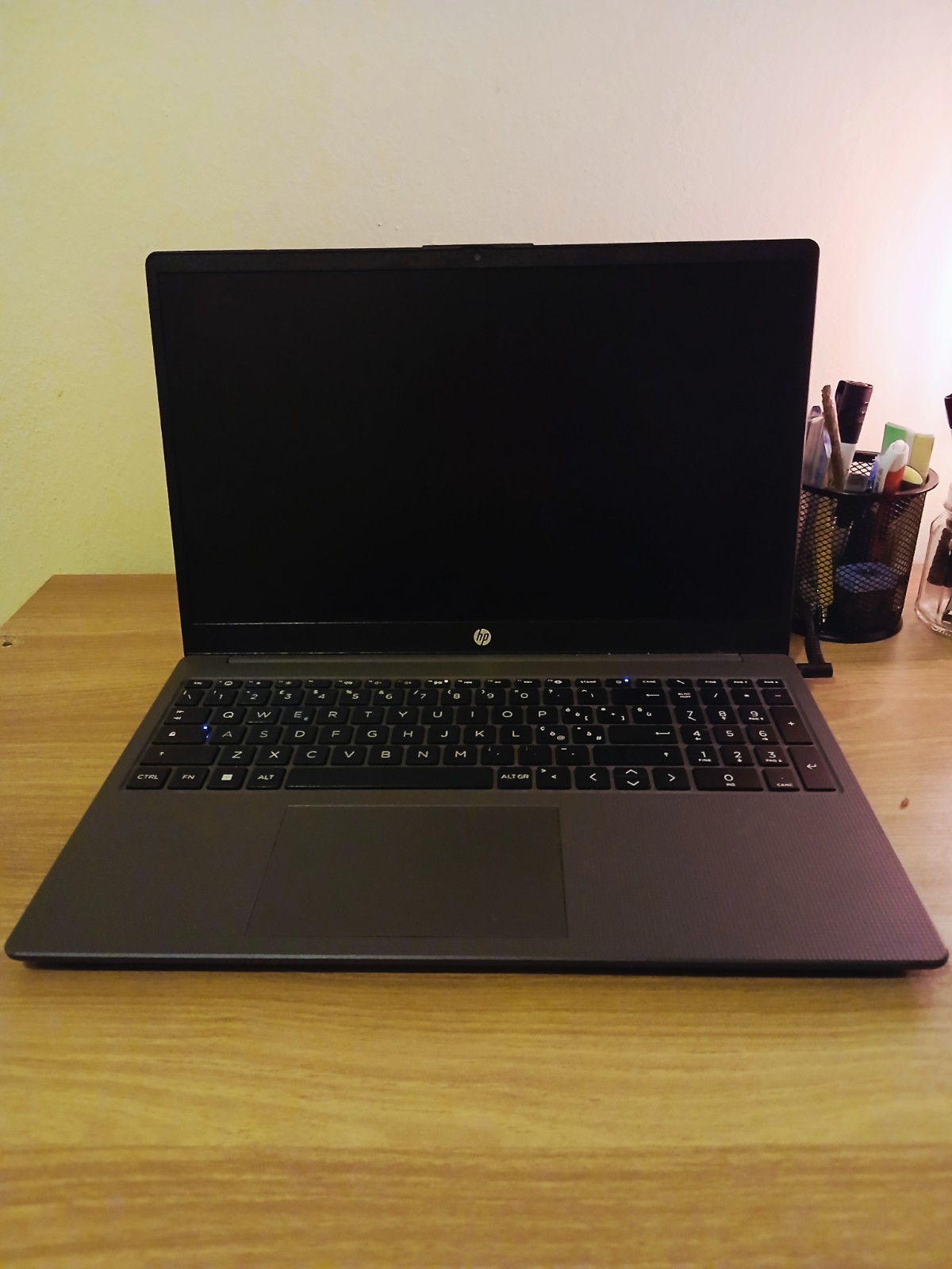 HP 255 G10. Perfectly operational, visual defect on the edge of the screen (Photo)