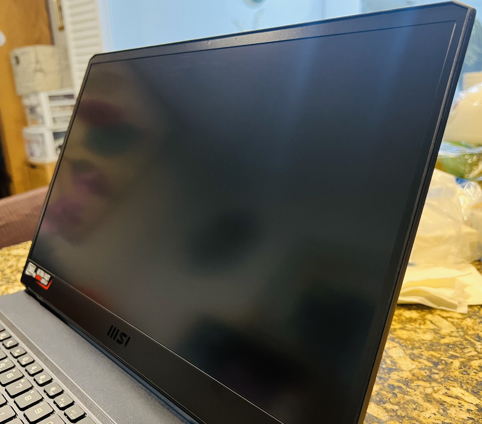 MSI GE76 Raider 17.3″ (1TB SSD, Intel Core i9 11th Gen., 5.00 GHz, 32GB) Gaming