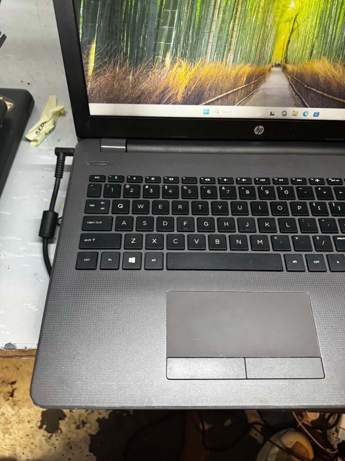 HP 255 G6 AMD E2-9000e Radeon R2 1TB HDD 8GB RAM Laptop Win11 Pro #5790