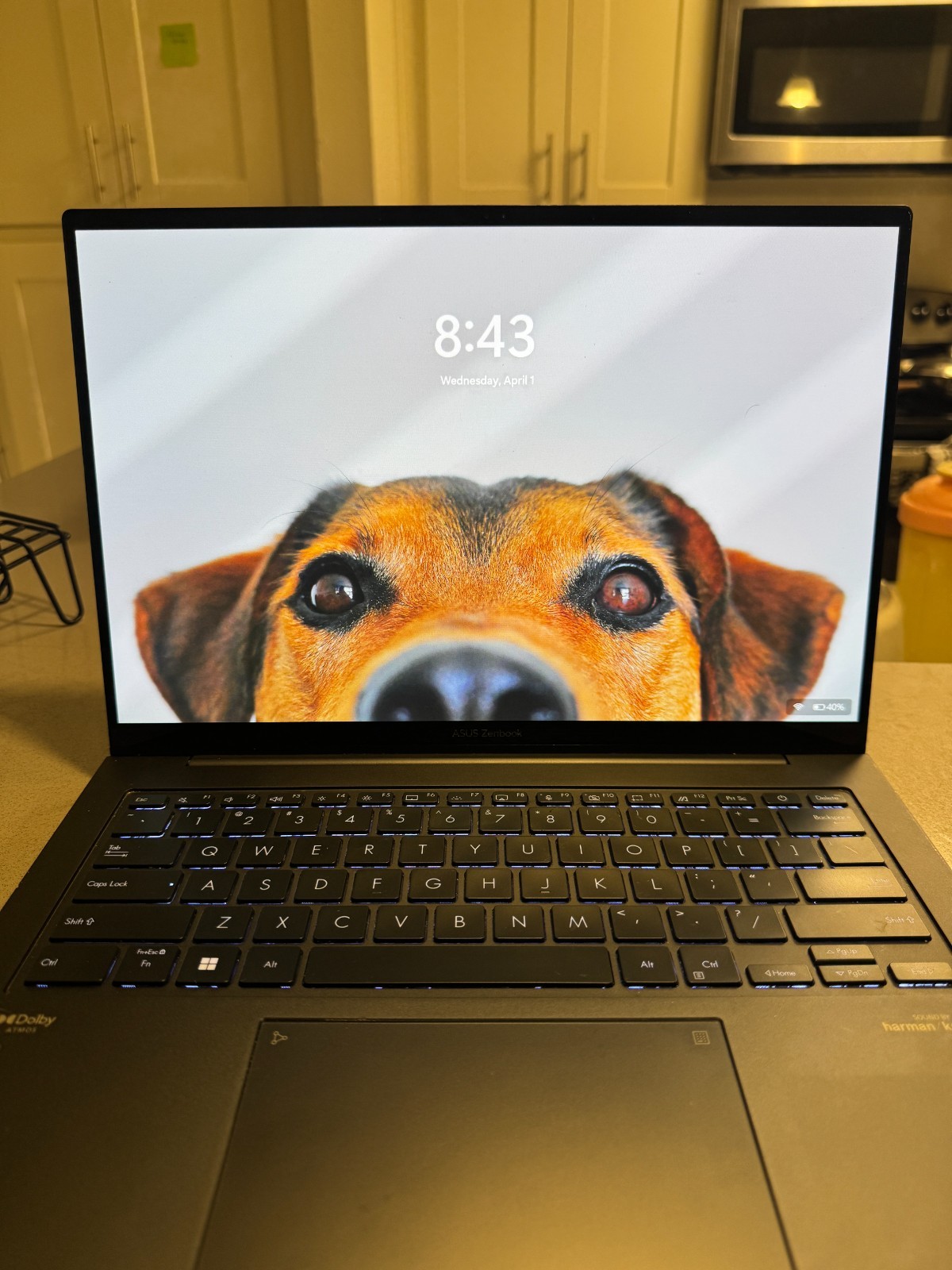ASUS ZenBook 14X OLED UX3404VA Q420VA ||| 8GB Ram 500GB
