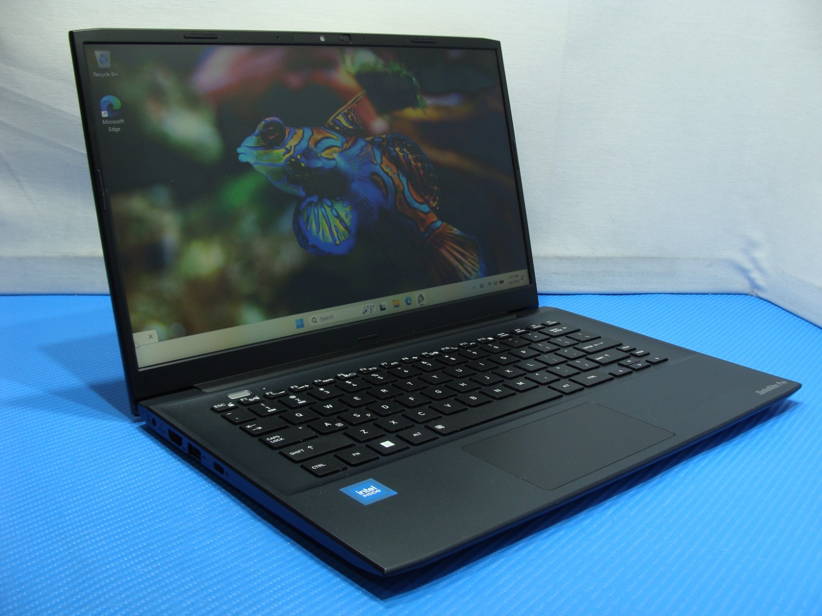 DynaBook Satellite Pro C40-K Intel Celeron 7305 1.1 Ghz 8GB 256GB SSD Win11P +PA