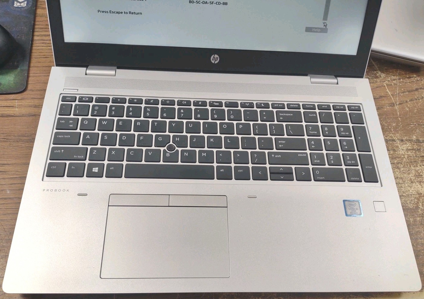 HP Probook 650 G5 LAPTOP 15.6 W/ i5-8365U 1.60GHz, 8GB, 256GB.
