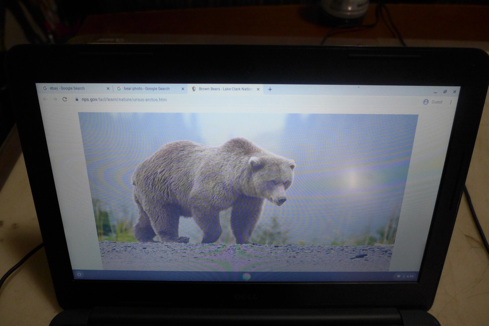 DELL CHROMEBOOK 13- 3380 13.3″ 1.6GHz CELERON 4GB RAM 16GB SSD TOUCH SCREEN S27