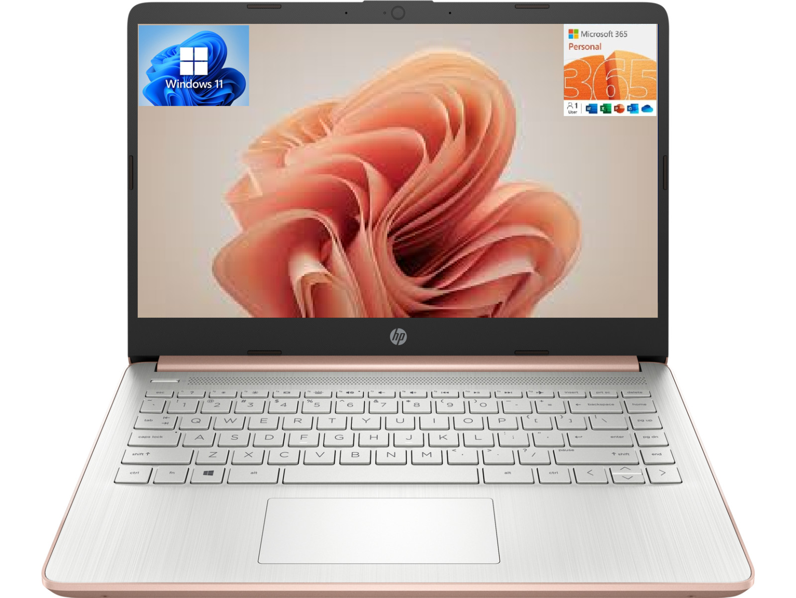HP 14” HD Laptop, AMD 2-Core CPU, 8GB RAM 184GB SSD (64+120), Win 11, MS 365
