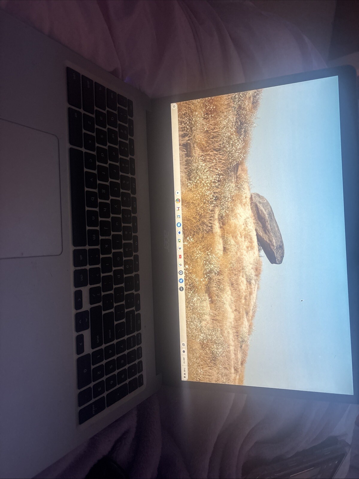 Acer Chromebook 315 (64GB eMMC Intel Celeron N4020 1.1GHz 4GB RAM) Laptop