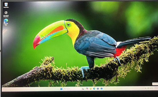 Razer Blade 17 2021 RZ09-0406 11th Gen i7-11800H 2.30GHz 64 Bit WIN 11 Home 1TB