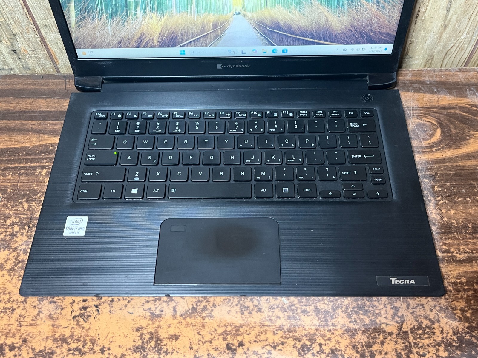 Toshiba Dynabook i7 10th Gen 512GB SSD 16GB Windows 11 Pro Wifi-6 HDMI Laptop