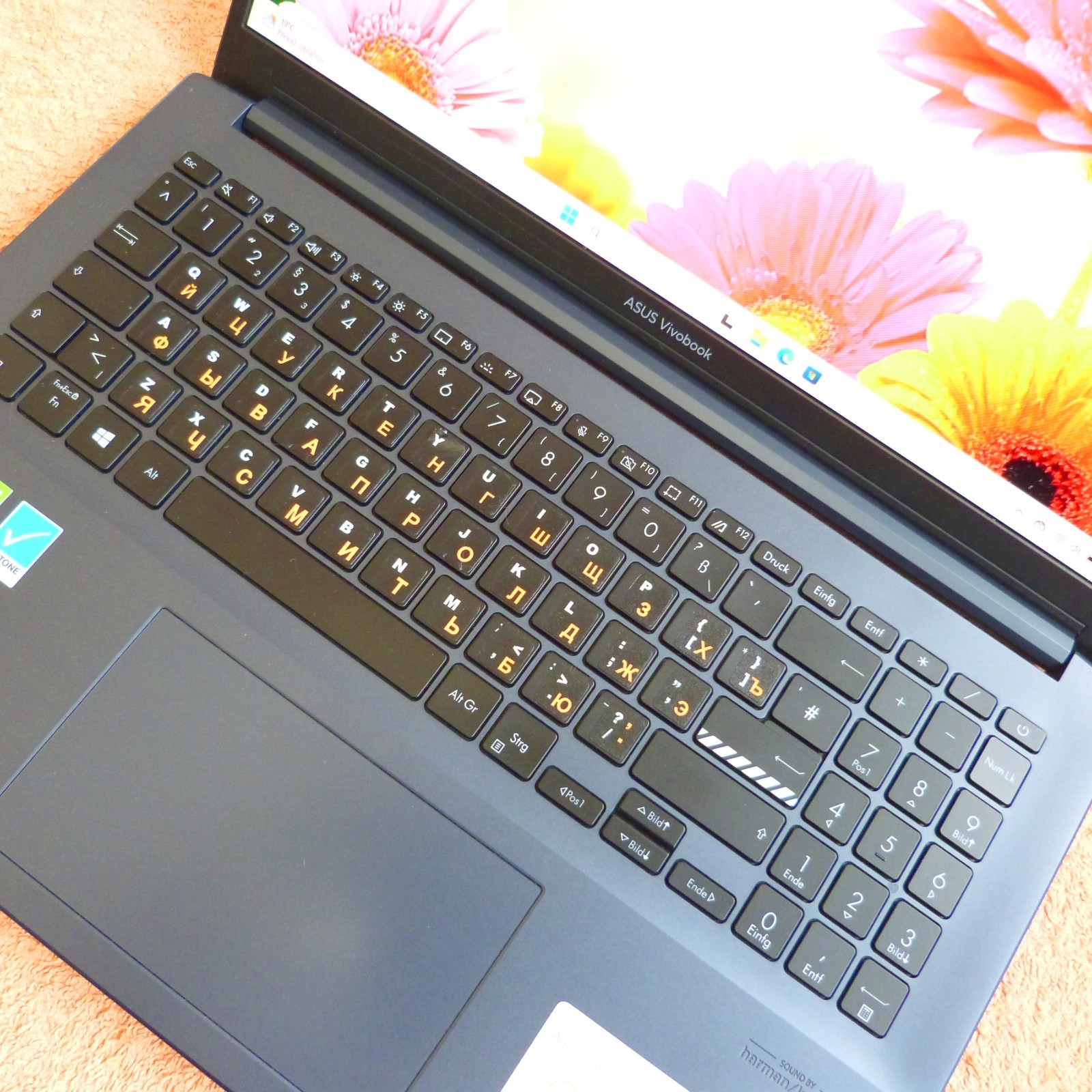 XL SET Asus K3500 Vivobook PRO 15 inch OLED ULTRABOOK l SSD Windows 11 i5 11GEN