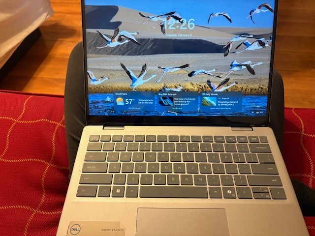 dell inspiron 14 2-in-1 laptop