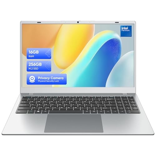 Laptop Computer, 15.6 inch 1920×1080 FHD IPS Display, 16GB RAM / 256GB SSD
