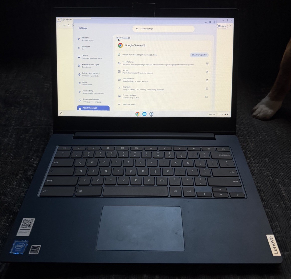 LENOVO IdeaPad 3 ChromeBook 14IGL05 14″ HD Celeron N4020 1.1GHz Intel 82C1002AUS