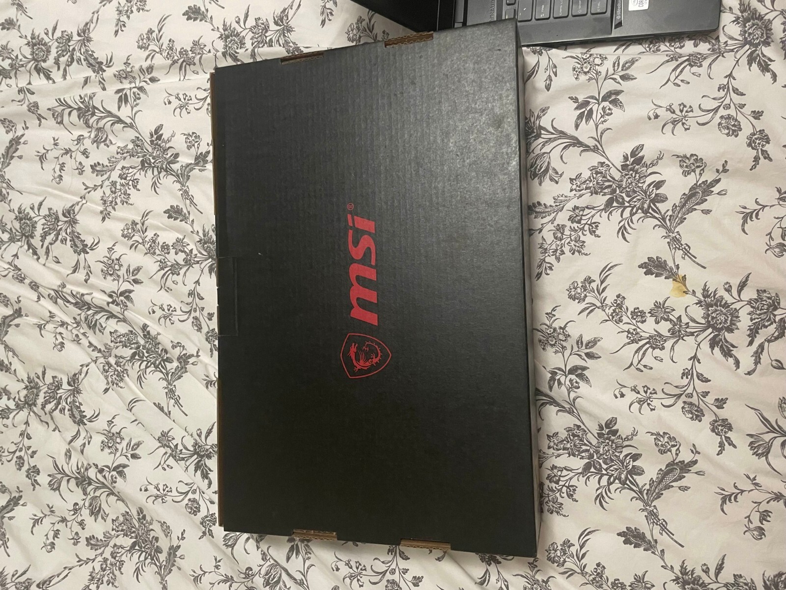 MSI GE75 Raider 10SE-482 17.3 inch (1TB, Intel Core i7 10th Gen., 2.7GHz, 16GB)