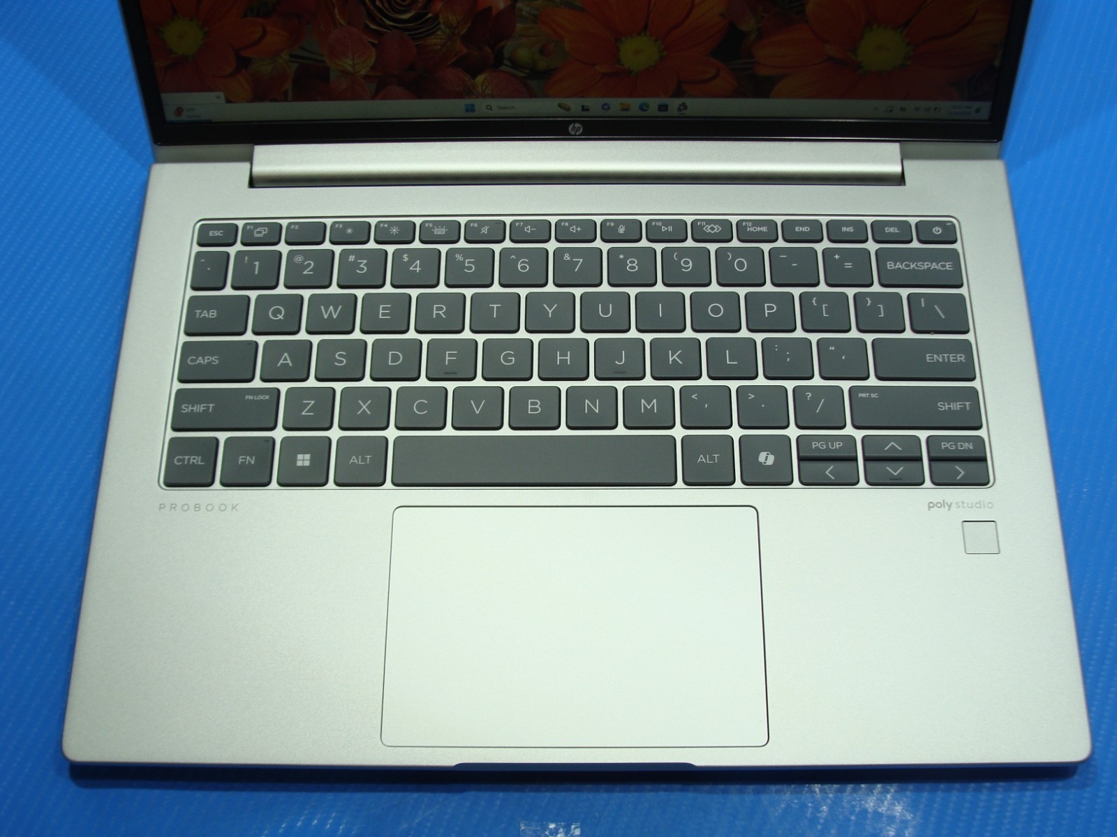 HP ProBook 445 G11 14″FHD+ AMD Ryzen 5 2.9GHZ 16GB 512GB 100ttery WRTY04/2028