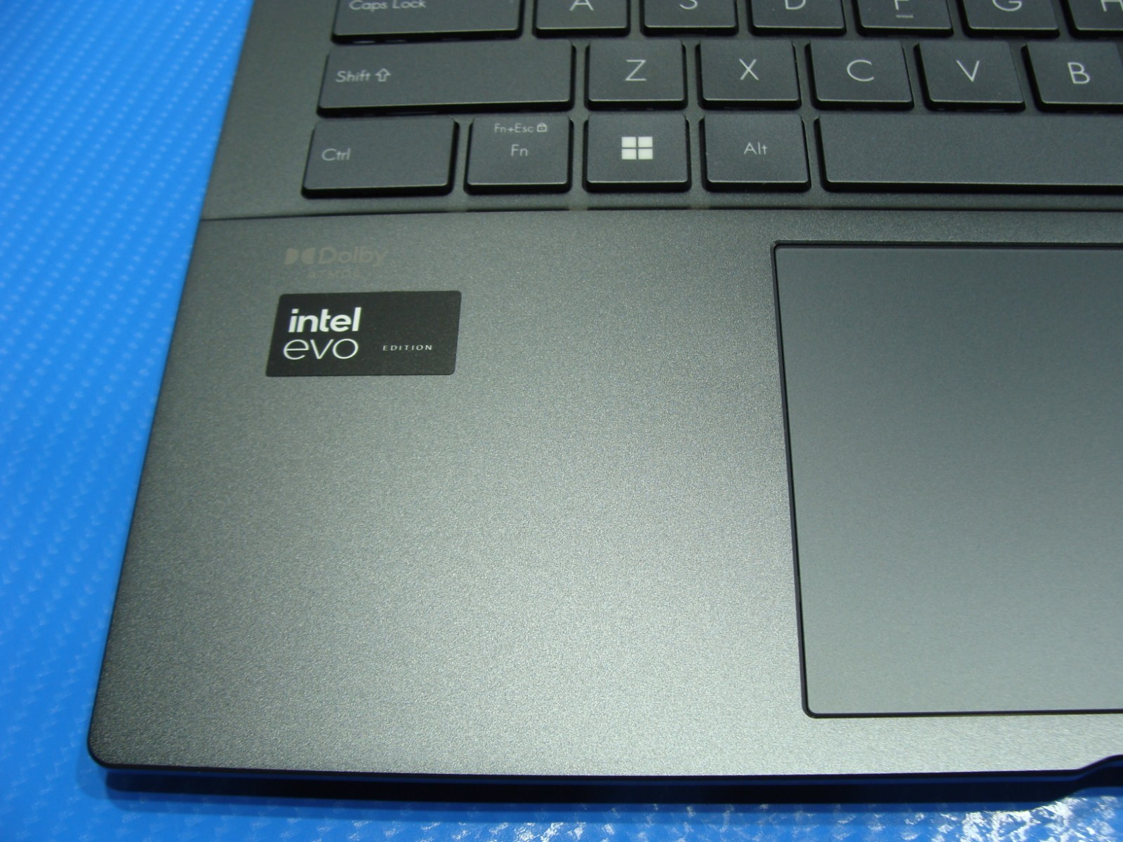 Asus ZenBook Q415MA 14″FHD+ TOUCH ultra 5 125H 3.6GHz 8GB 512GB SSD Win 11H +PA