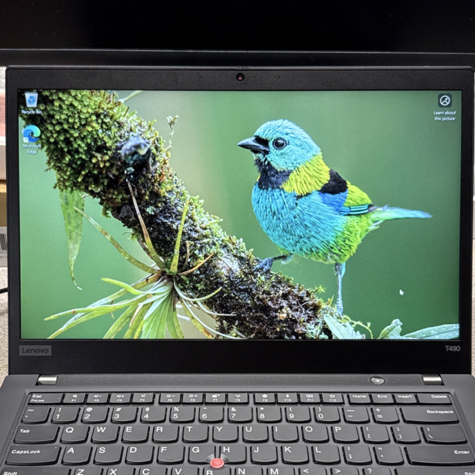 Lenovo ThinkPad T490 14″ Intel Core i5-8265U, 8GB RAM, 256GB Storage, Win 11 Pro