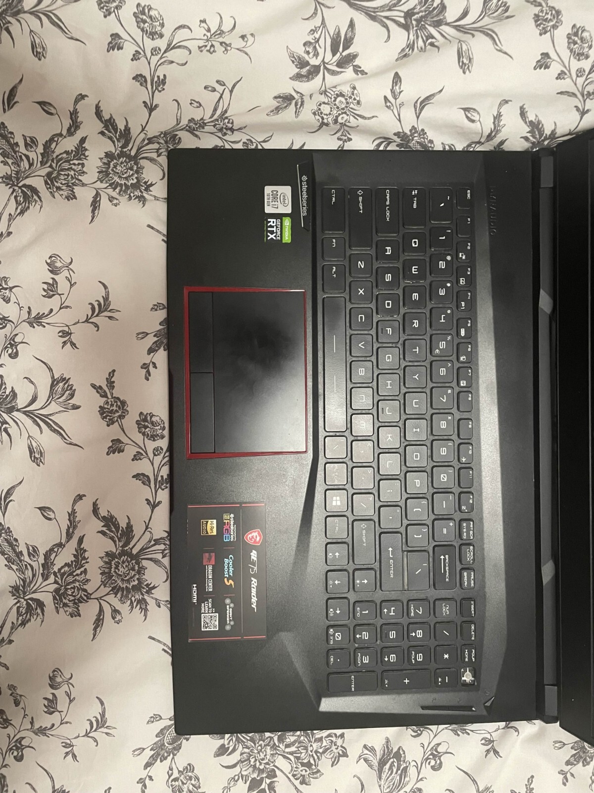 MSI GE75 Raider 10SE-482 17.3 inch (1TB, Intel Core i7 10th Gen., 2.7GHz, 16GB)