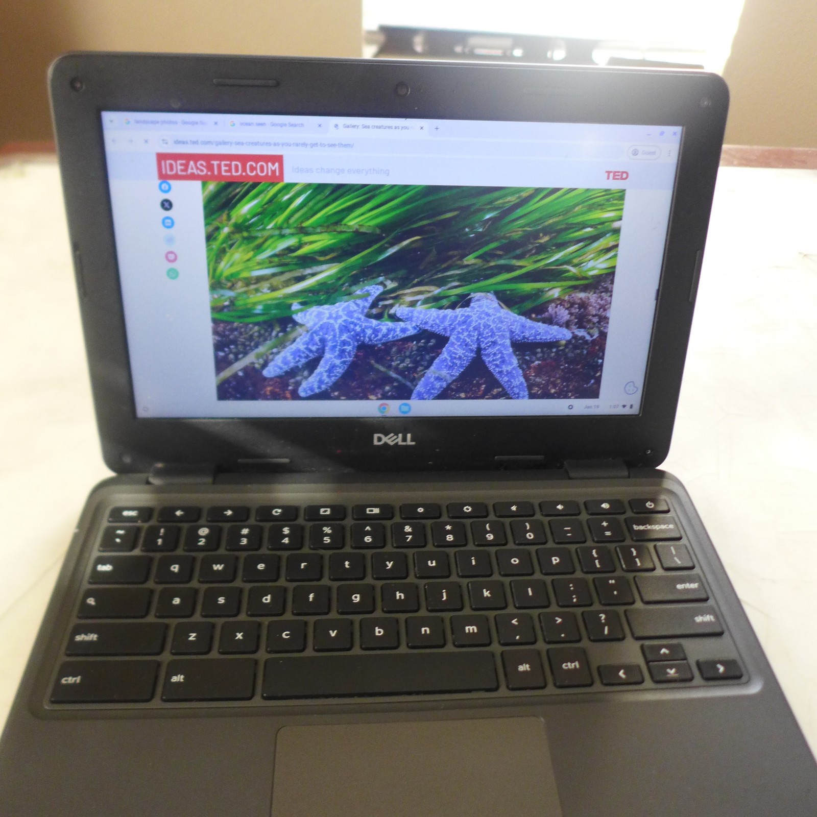 Dell Chromebook 3100 2 IN 1 11.6″, Intel Celeron,4GB, 6GB, ChromeOS TOUCH SCREEN