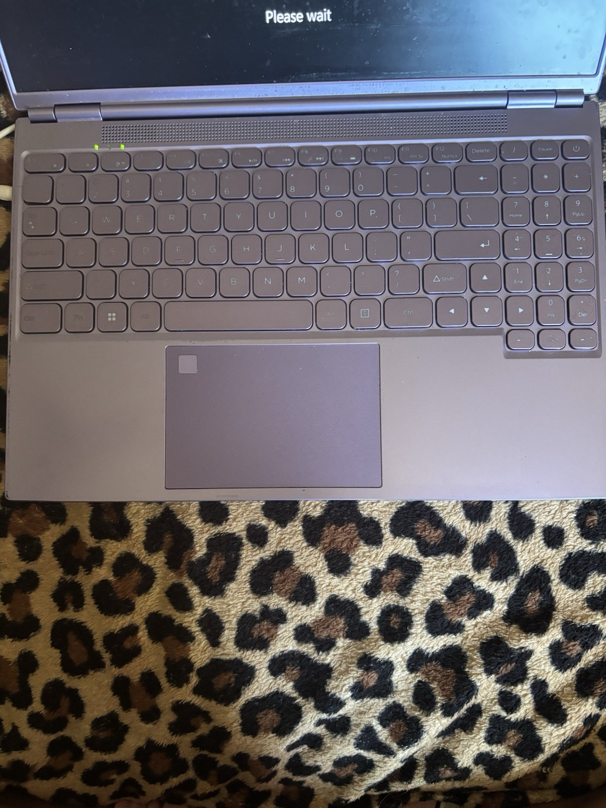 16in Laptop Celeron 12GB RAM 477GB Storage Windows 11 Pro Purple