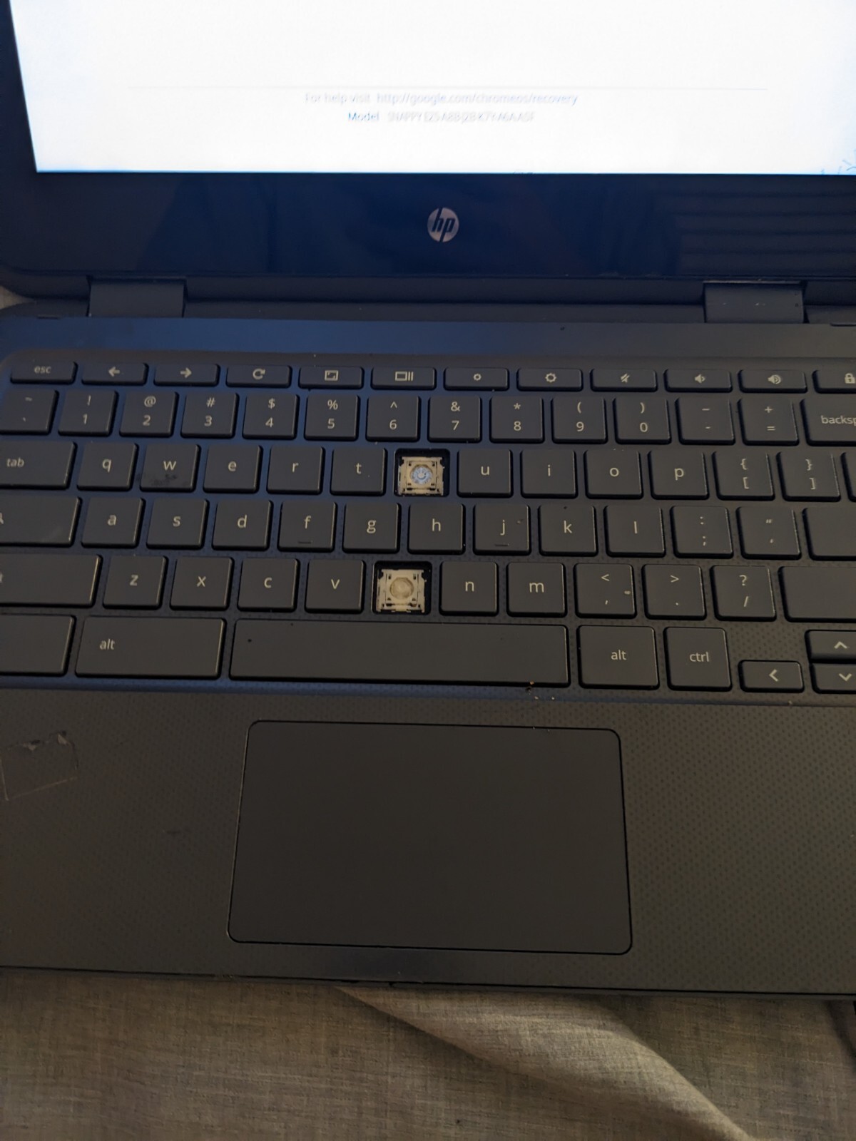 HP Smart Buy Chromebooks 2HW32UT#ABA X360 11 G1 EE Gray