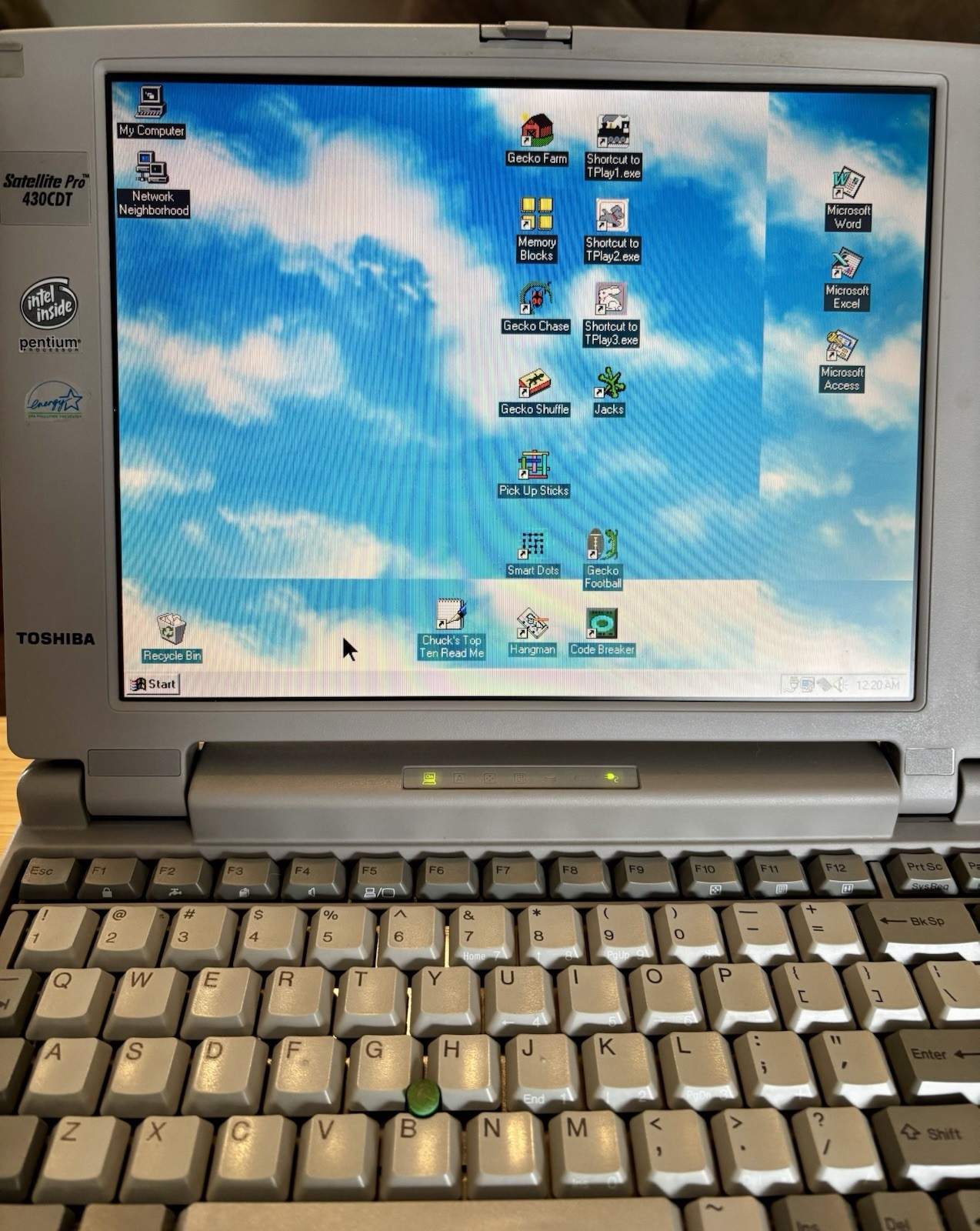 Vintage Toshiba Satellite Pro 430CDT Pentium 120MHz/1.26GB Processor TESTED/READ