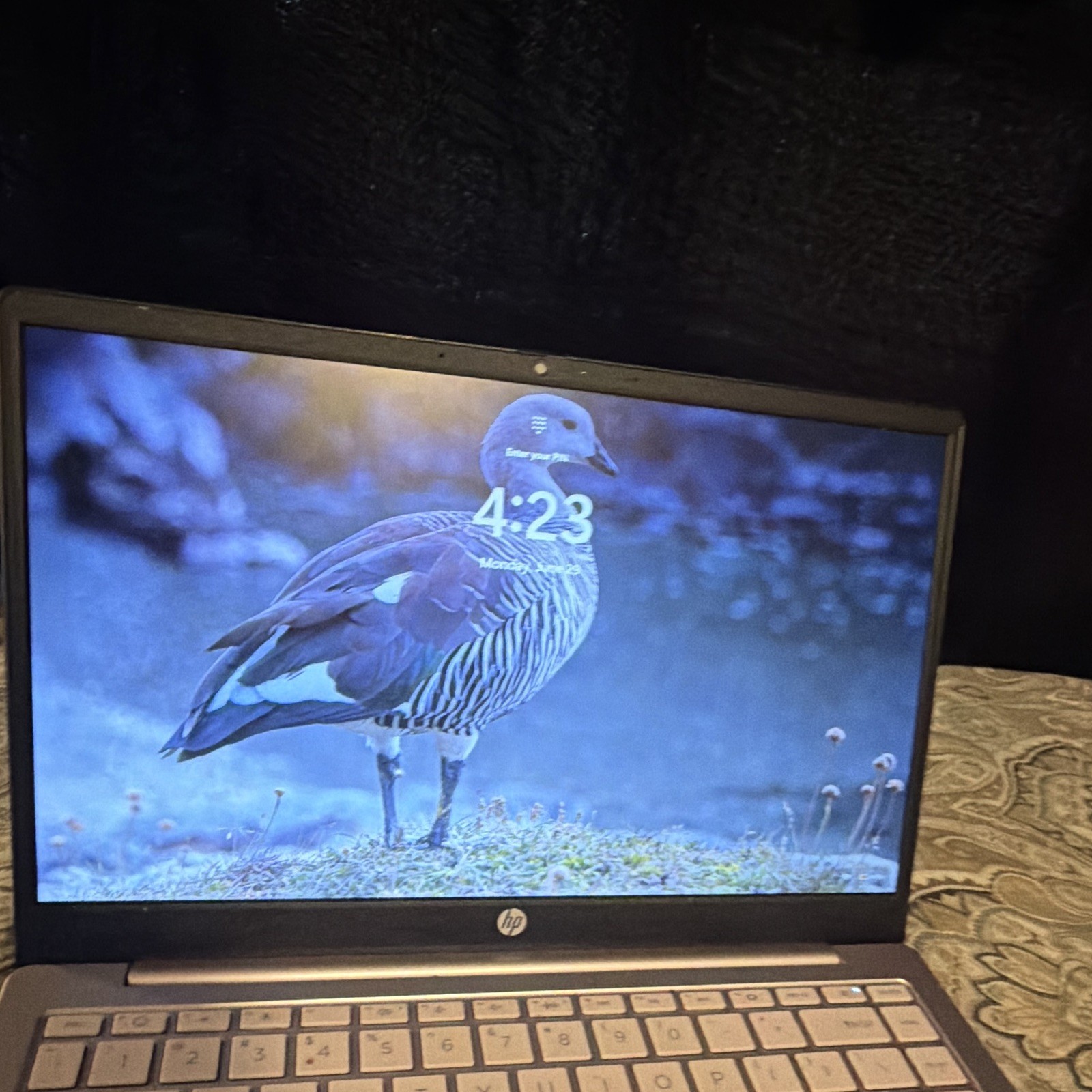HP Laptop 14-ep2011wm 14in Intel Core i3 8GB RAM 256GB SSD Win11 Silver