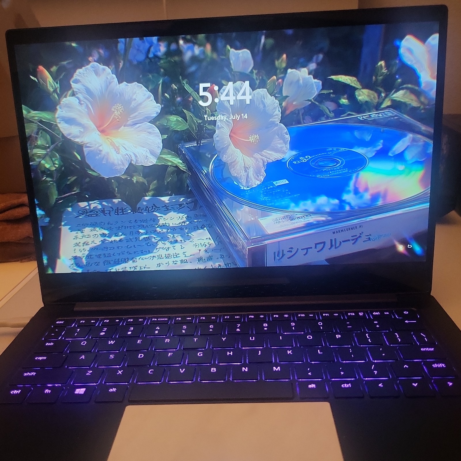 Razer Blade Stealth 13 Mx150 i7 8th Gen 4k Touchscreen