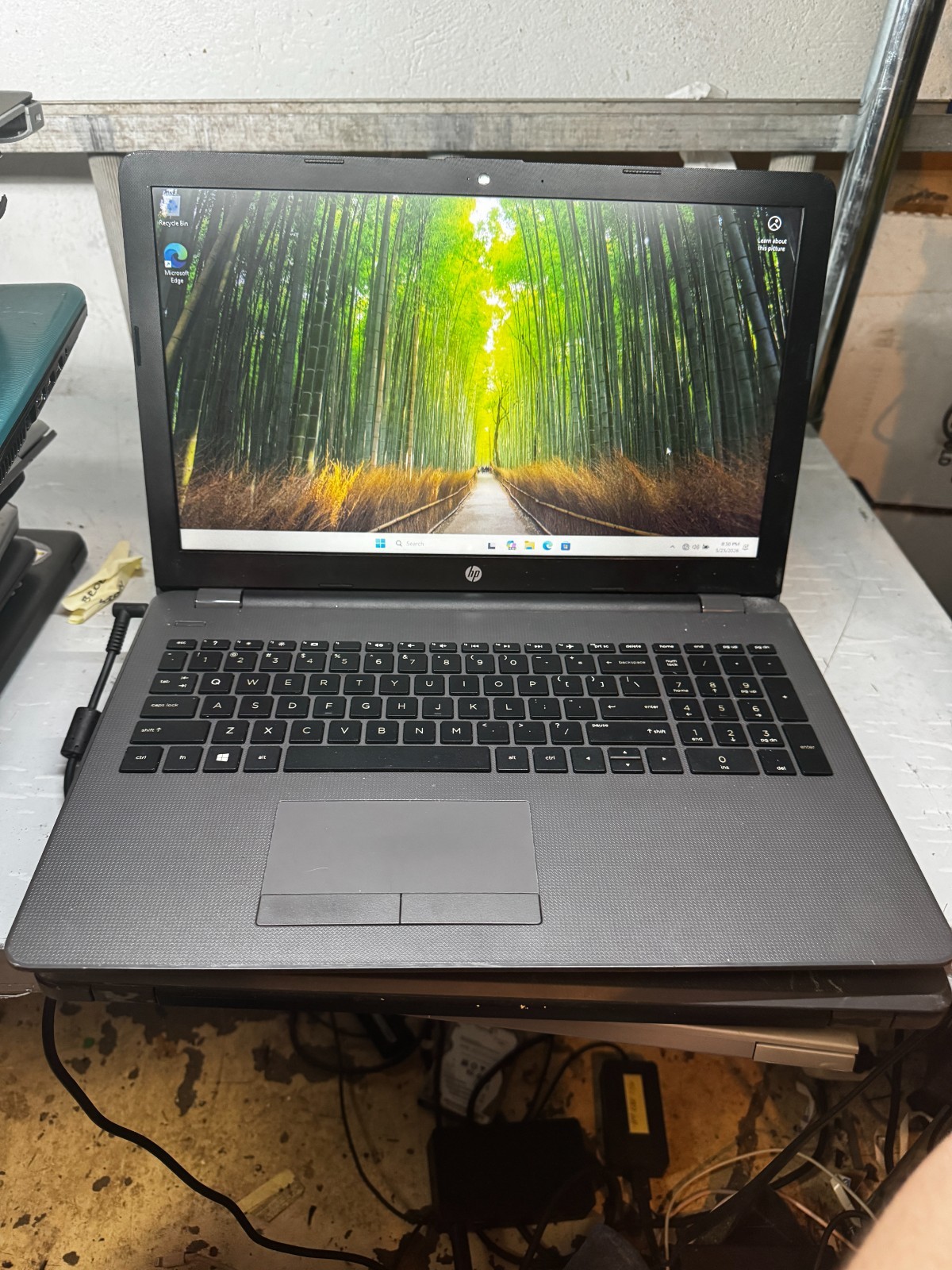 HP 255 G6 AMD E2-9000e Radeon R2 1TB HDD 8GB RAM Laptop Win11 Pro #5790