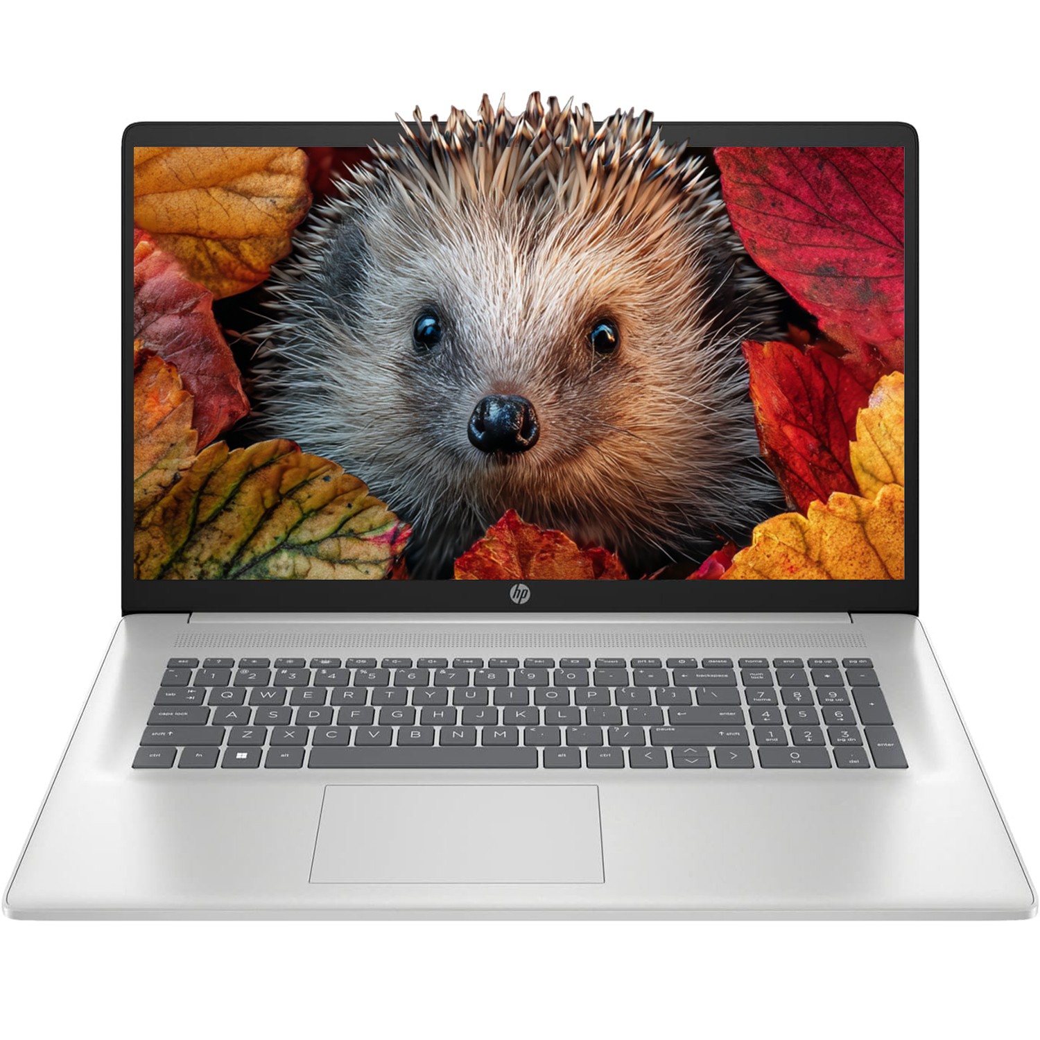 HP 17.3″ Laptop computer 2.7 GHz~4.3 GHz AMD Ryzen 5-7430U UpTo 64GB RAM 2TB SSD
