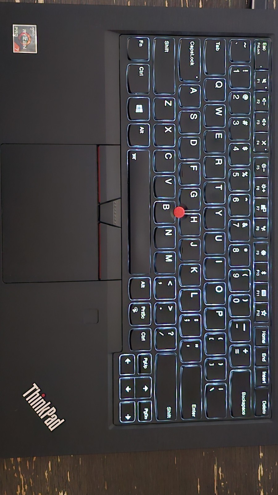 ThinkPad T495 Ryzen 7 Pro/ Radeon Vega Graphics 24GB RAM 512GB SSD WIN 11/Webcam