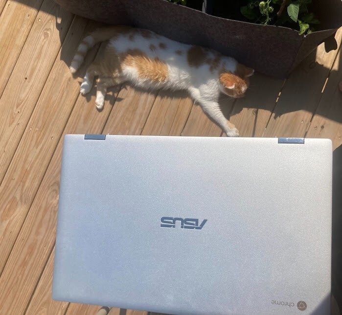 ASUS Chromebook Flip c434t, good condition, silver, 12.5″ screen