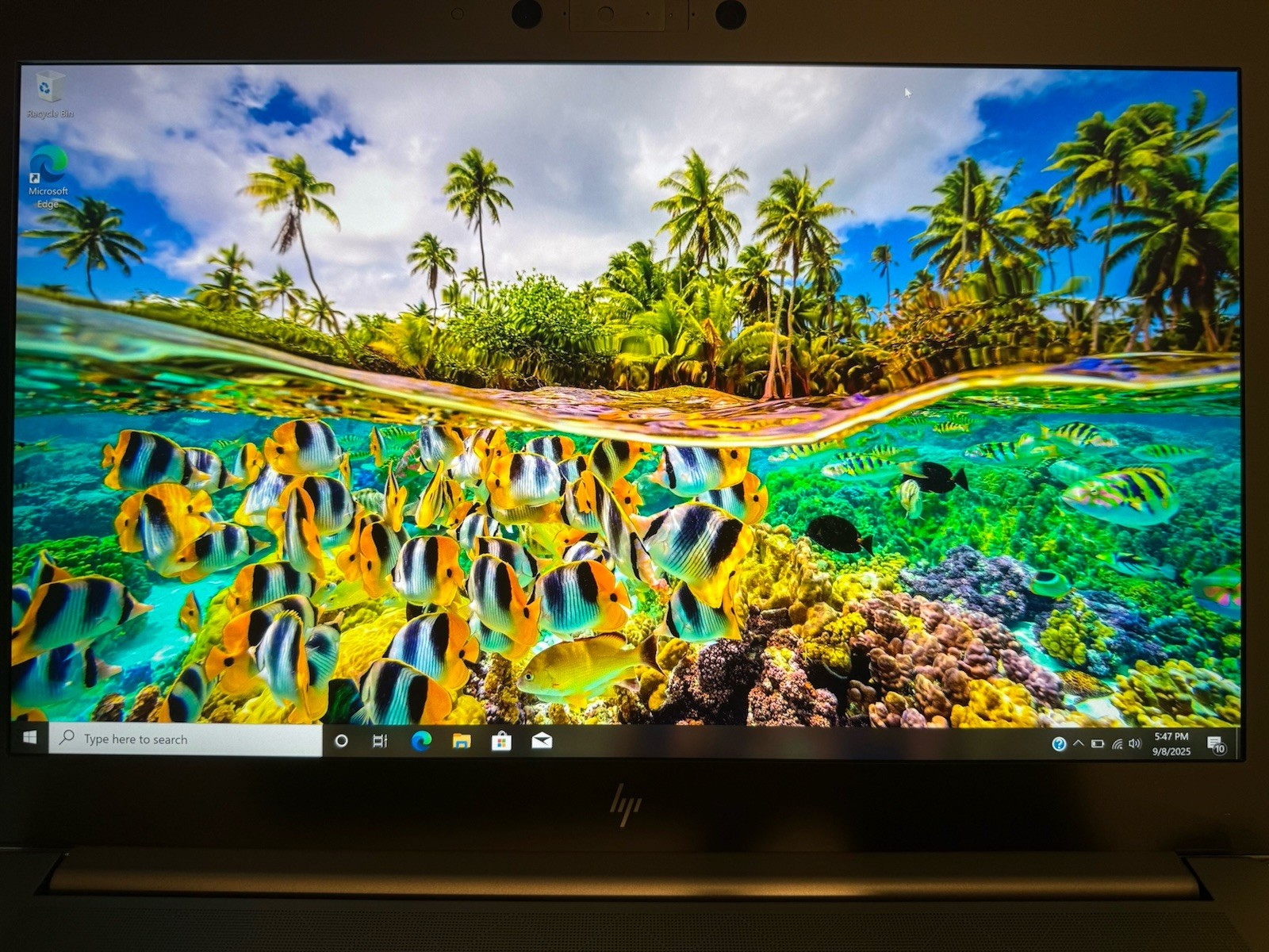 HP ZBook 17 G6 i9-9880H | RTX 5000 | 32GB RAM | 2TB SSD | 4K UHD | Brand New