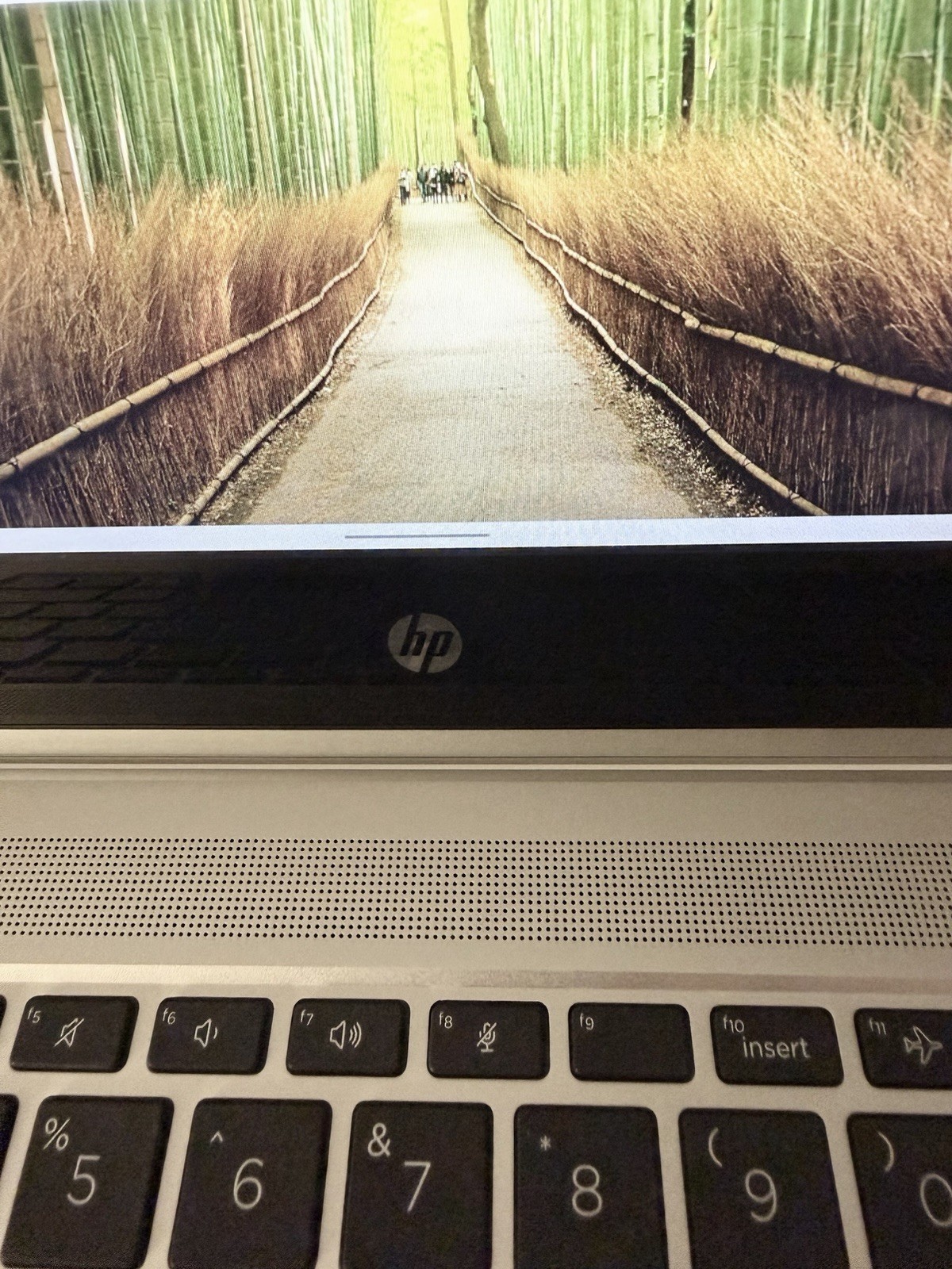 HP ProBook x360 435 G8 Ryzen 3 5400U, 32GB DDR4 Radeon Graphics, 256GB SSD Touch