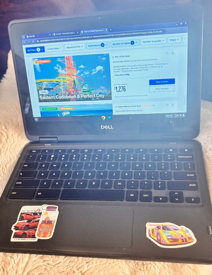 Dell Chromebook 3100 2-in-1 11.6” Touchscreen Intel N4020 4GB RAM USB-C Charger