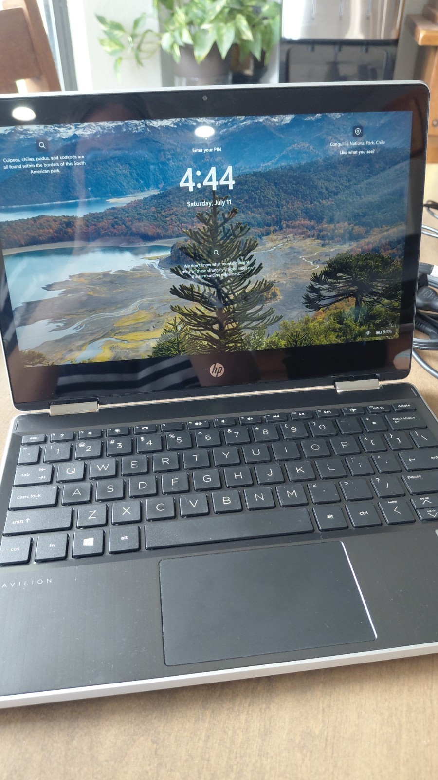 HP Pavilion x360 11.6 inch (128GB, Intel Pentium N5030, 1.1GHz, 4GB) Laptop -…